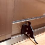 コロナウイルス 対策 フットオープナー 猫